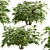 Versatile Set of Fatsia Japonica Bushes 3D model small image 2