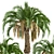 Premium Set of Butia Capitata Trees 3D model small image 4