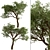 Mediterranean Treasure: Set of 2 Olive Trees 3D model small image 4