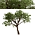 Mediterranean Treasure: Set of 2 Olive Trees 3D model small image 5