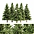 Tall Norway Spruce Bundle 3D model small image 1