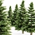 Tall Norway Spruce Bundle 3D model small image 2