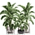 Title: Tropical Plant Collection: Banana Palm, Ravenala, Strelitzia 3D model small image 1
