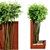 Bamboo Wall & Outdoor Plants: 4.5m Height & 5 Tree Models 3D model small image 2