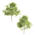 Breathtaking Beeches: 384,680 & 451,593 3D model small image 1