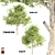 Breathtaking Beeches: 384,680 & 451,593 3D model small image 2