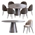 Elegant Daisy Chair & Bertoia Table 3D model small image 2