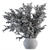 111-Piece Indoor Plant Set 3D model small image 5