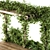 Elegant Ivy Pergola Décor 3D model small image 3