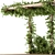 Elegant Ivy Pergola Décor 3D model small image 4