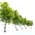 Fiddlewood: Majestic Citharexylum Tree 3D model small image 3