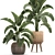 Tropical Paradise Plant Collection 3D model small image 2