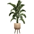 Tropical Paradise Plant Collection 3D model small image 3