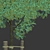 Young Oak Tree Collection: 5 Trees, 3-9m 3D model small image 4