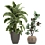 Tropical Plant Collection in Rattan Baskets 3D model small image 2