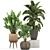 Exotic Banana Palm: Perfect for Indoors & Outdoors 3D model small image 1