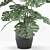 Lush Monstera: Indoor & Outdoor 3D model small image 2