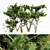  Majestic Monterey Cypress Tree Set 3D model small image 1