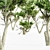  Majestic Monterey Cypress Tree Set 3D model small image 3