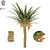 Tropical Oasis: Realistic Palm Tree 3D model small image 1