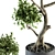 Mini Bonsai Set: Indoor Greenery 3D model small image 3