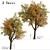 Temperate Chestnut Tree Duo 3D model small image 1