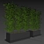 Tropical Palm Plant in Box 3D model small image 4