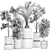 Tropical Plant Collection: Exotic & Decorative 3D model small image 5