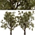 Mediterranean Duo: Set of 2 Olive Trees 3D model small image 5