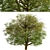 Delightful Set of Hawthorn Trees 3D model small image 5