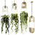 Hanging Pot Lamps: Ampel Plants Set 3D model small image 1