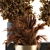 Elegant Black and Gold Indoor Plant set 3D model small image 2