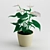 Tropical Beauty: Anthurium Plant 3D model small image 1