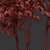 Elegant Three-Leafed Ptelea Tree 3D model small image 5