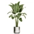Tropical Chrome Plant Collection 3D model small image 3