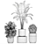 Tropical Chrome Plant Collection 3D model small image 5