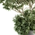 Outdoor Oasis: Tree Set in Concrete 3D model small image 2