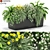 Beautiful Plants in Lechuza BALCONERA 3D model small image 1