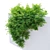 Hanging Plant - Corolla FBX 3D model small image 4