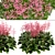 Featherleaf Rodgersia: Set of 3 Bushes 3D model small image 3