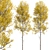Quaking Aspen Trees (2-Piece Set) 3D model small image 6