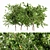  Peach Tree Bundle: Luscious Heights for Your Forest Garden 3D model small image 1