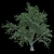 Elegant Cherry Blossom Tree 3D model small image 1