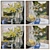 Mixed Framed Wall Paintings Set 3D model small image 2