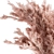 Pink Pampas Dry Plants 3D model small image 3