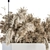 Eco Dried Plant Set 116 3D model small image 3