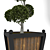 Elegant Boxwood Tree Sculpture 3D model small image 3