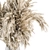 Dried Pampas Bouquet - Dry Plants 3D model small image 3