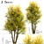 Common Lime Tree Set (2 Trees) 3D model small image 2