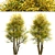 Common Lime Tree Set (2 Trees) 3D model small image 7